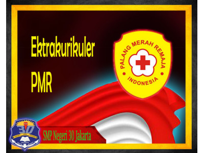 PMR